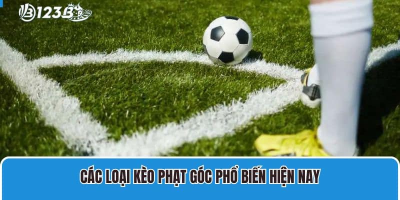 Kèo Phạt Góc Là Gì? Các Loại Kèo Phạt Góc Phổ Biến Hiện Nay 3 Các loại kèo phạt góc phổ biến hiện nay