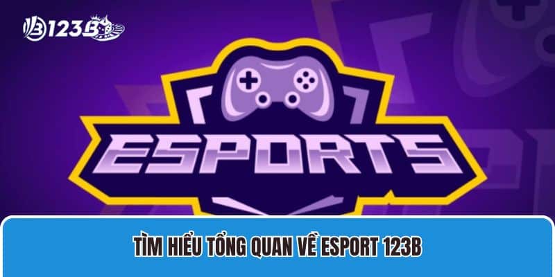 Giới Thiệu Về Trang Cá Cược Esport 123B Uy tín nhất hiện nay 2 Tìm hiểu tổng quan về esport 123B